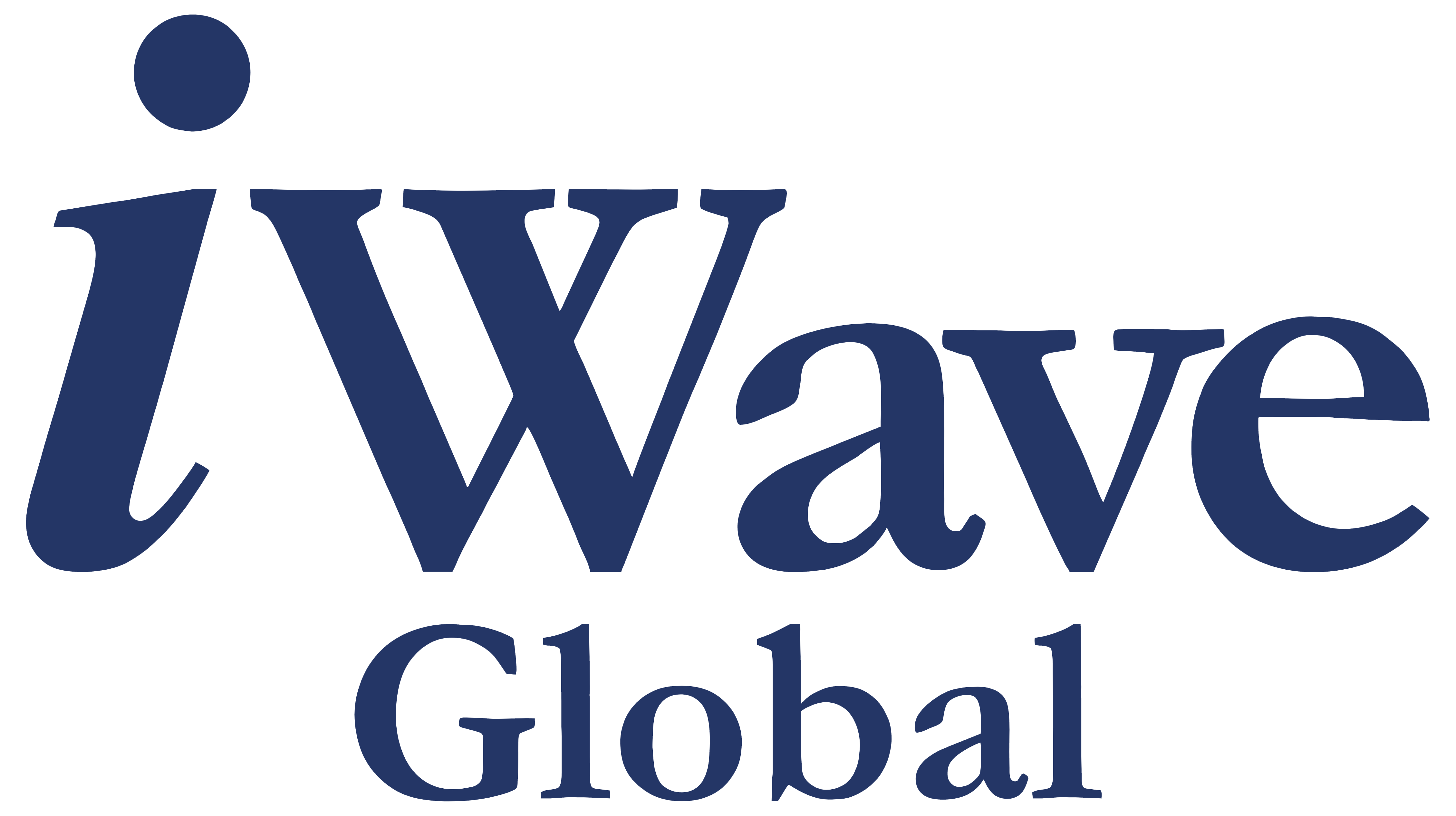 iWave Systems